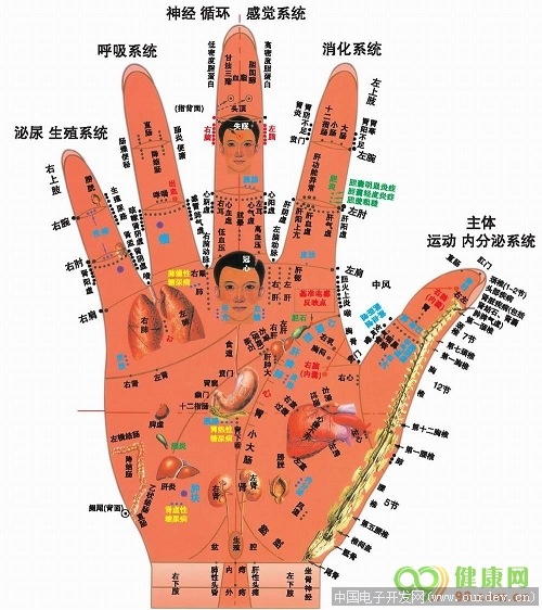 竟然有这样的东西,经络检测仪器