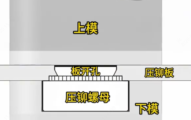 15.png